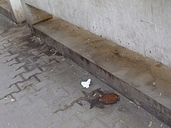 It's better to be in a cemetery than like this...