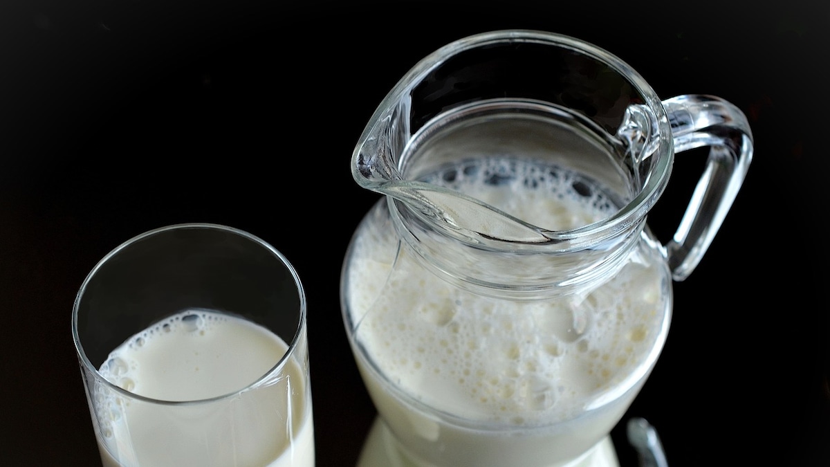 Oat Milk Vs. Cows Milk: Which One Should You Choose For Better Health?