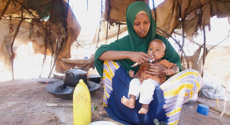 Somalia faces escalating crisis amid drought, conflict and price hikes