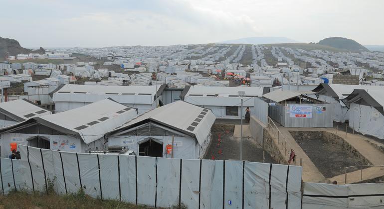 World News in Brief: Conflict in DR Congo, Europe’s ‘cradle to cane’ crisis, millions may go hungry in Chad