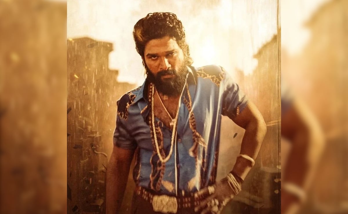 Allu Arjun "Personally Called" Chhaava Makers To Push Release Date To Avoid Clash With Pushpa 2