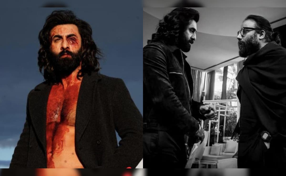 "Animal Was Criticised, But Ranbir Was Lauded"