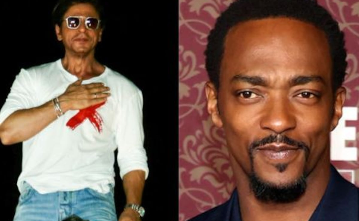 Brave New World Actor Anthony Mackie Wants Shah Rukh Khan To Be The Next Avenger