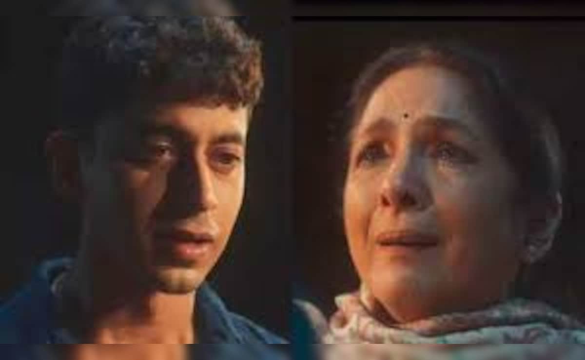 Hindi-Vindi Trailer:Mihir Ahuja And Neena Gupta Shine Bright