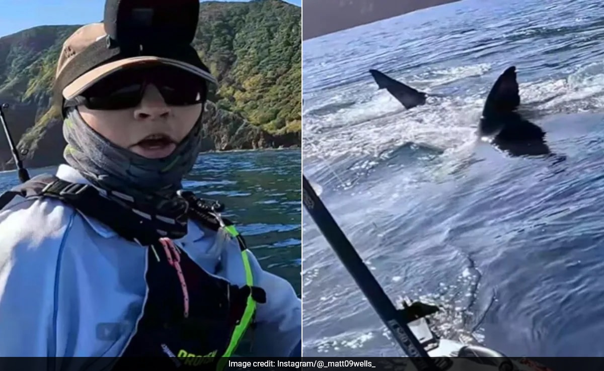 New Zealand Teen Records Terrifying Encounter With Great White Shark: "My Main Worry Was..."