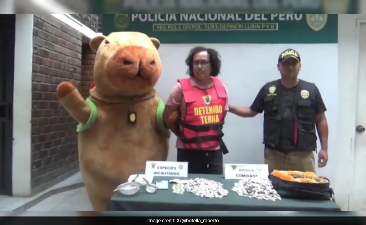 Policeman Dressed As Giant Capybara Leads Drug Raid On Valentine's Day