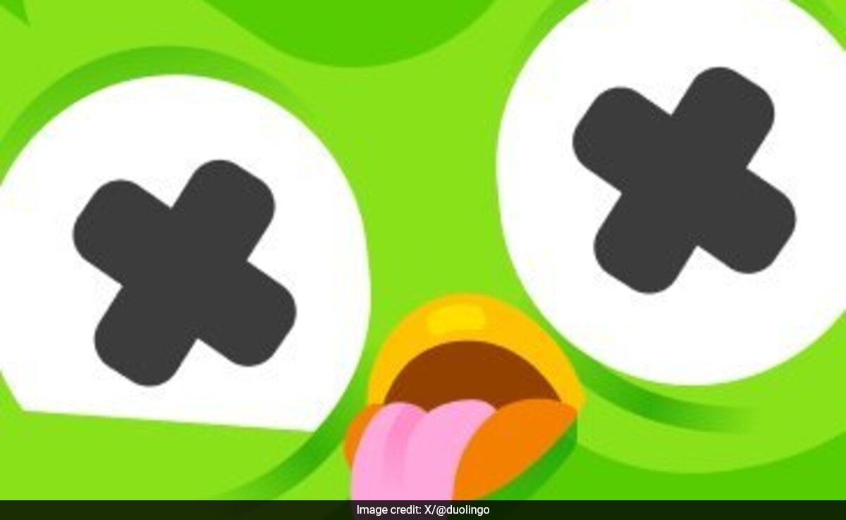 Real Reason Behind Duolingo Owl's Death Revealed As Dua Lipa Reacts