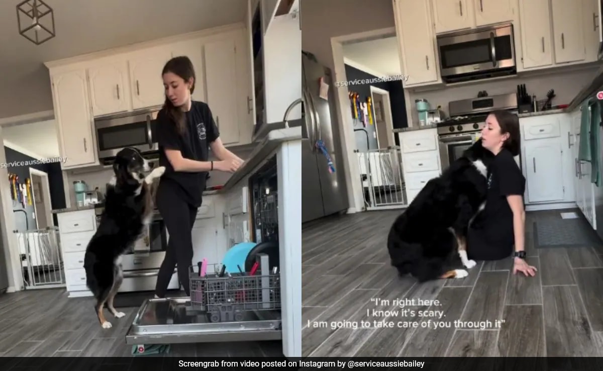 Service Dog Smells Trouble, Saves Owner From Fainting