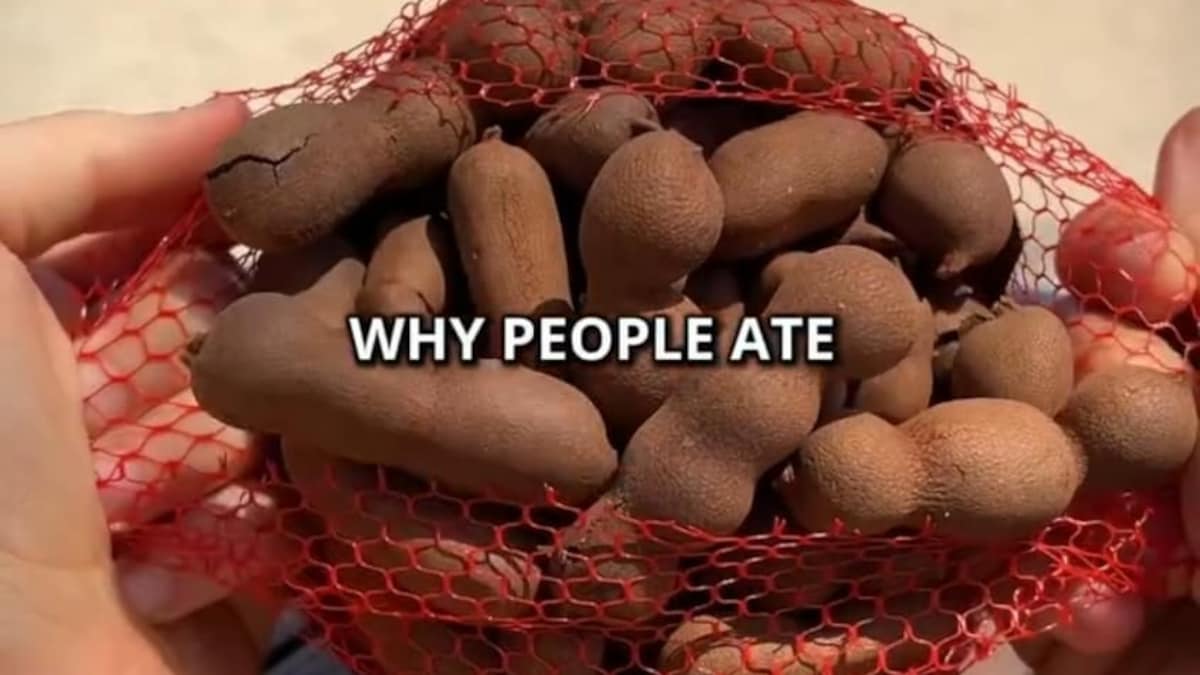 Vlogger Calls Tamarind Pods “Beans” With “Larvae” Inside, Desis Are Quick To Correct Her