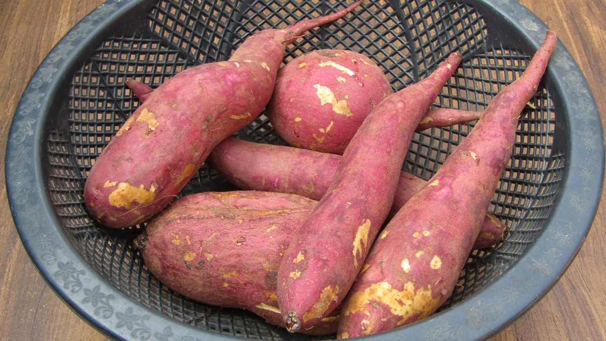 Sweet potatoes are tasty and an excellent source of biotin. Sweet potatoes are tasty and an excellent source of biotin.