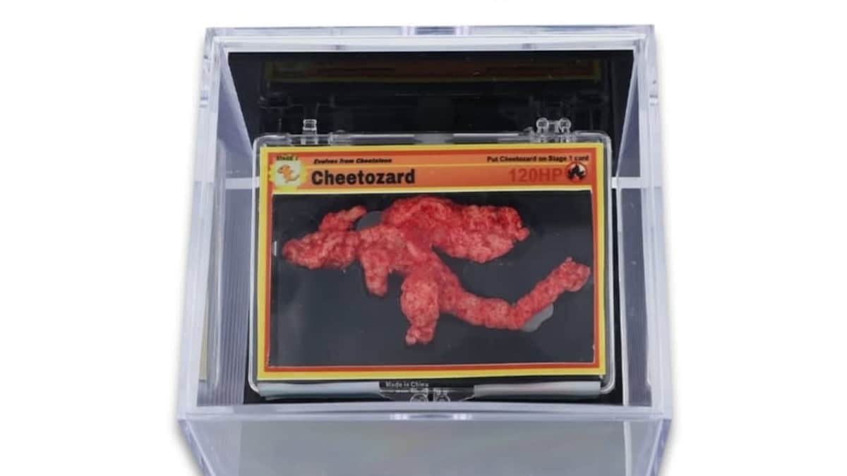 This One-Of-A-Kind Pokemon Cheeto Sold For A Record-Breaking Rs 77 Lakhs