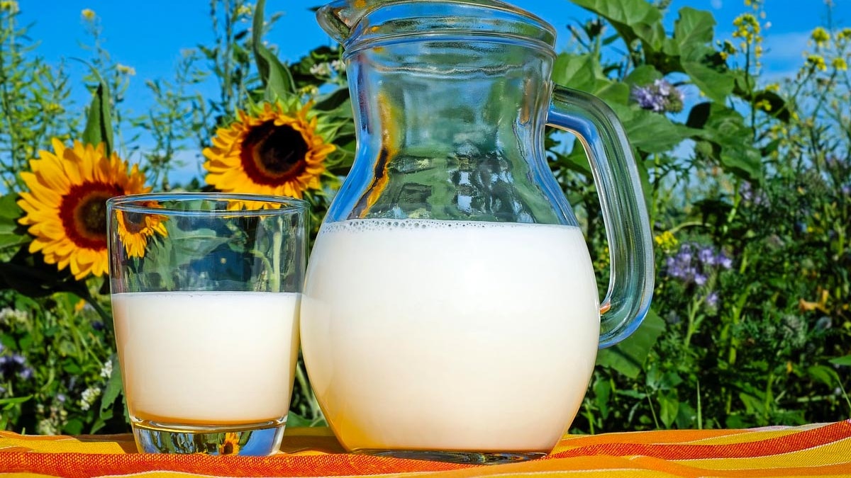 Milk Isnt The Only Way To Get Calcium: 6 Delicious Alternatives