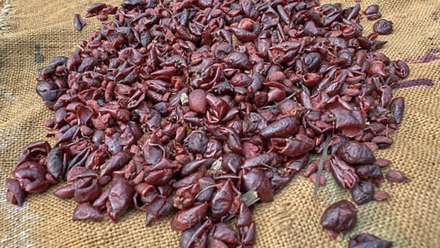 Add kokum juice in foods to add sourness. Add kokum juice in foods to add sourness.
