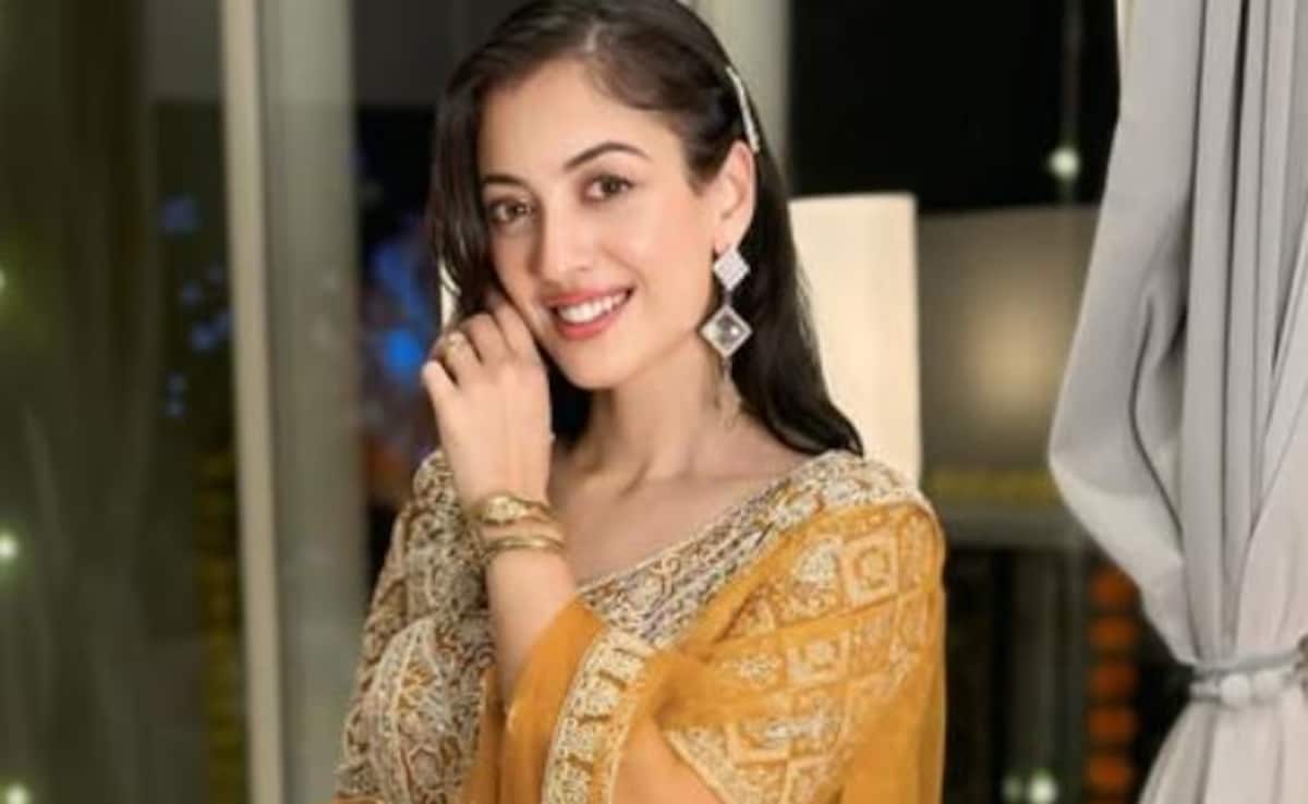 TV Actress Aditi Sharma Heads For Divorce 4 Months After "Secret" Wedding