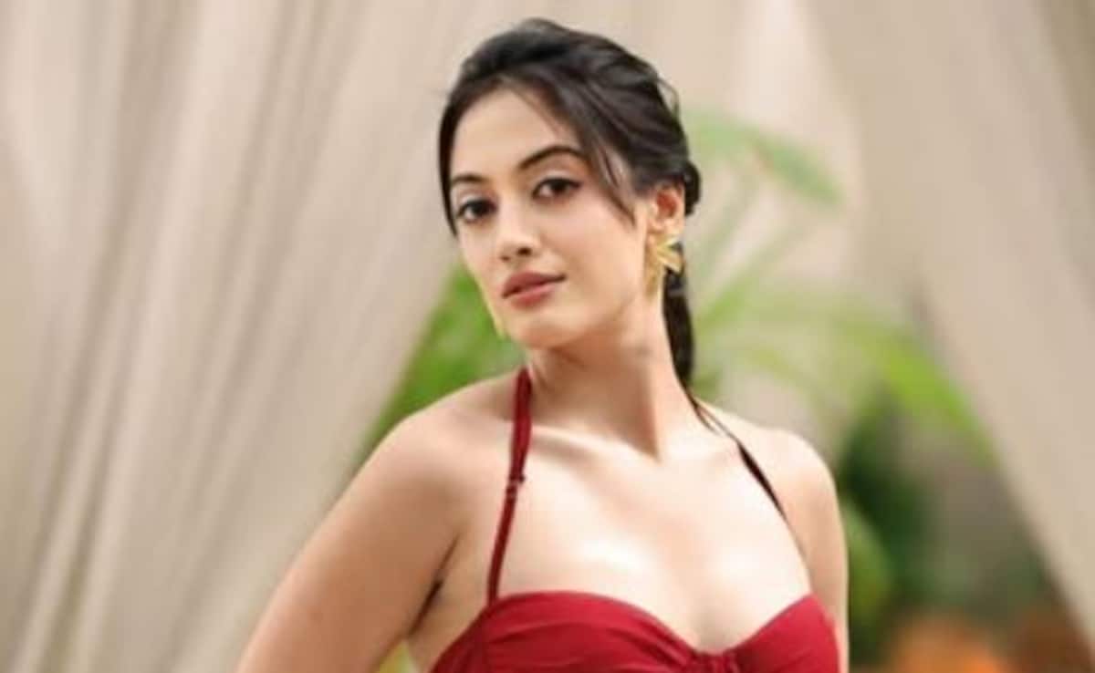 TV Actress Aditi Sharma Reacts To "Secret Wedding", Cheating And Domestic Abuse Allegations