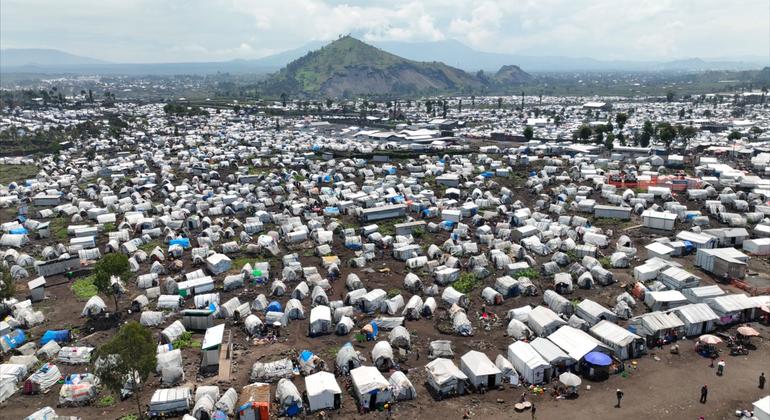 World News in Brief: Fresh fighting in eastern DR Congo, global trade update, elections in CAR, Pakistan train hijack