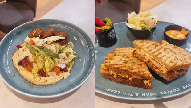 Falafel Fattoush Three Layer Salad, Indiana Grilled Chicken and Cheese Melt Falafel Fattoush Three Layer Salad, Indiana Grilled Chicken and Cheese Melt