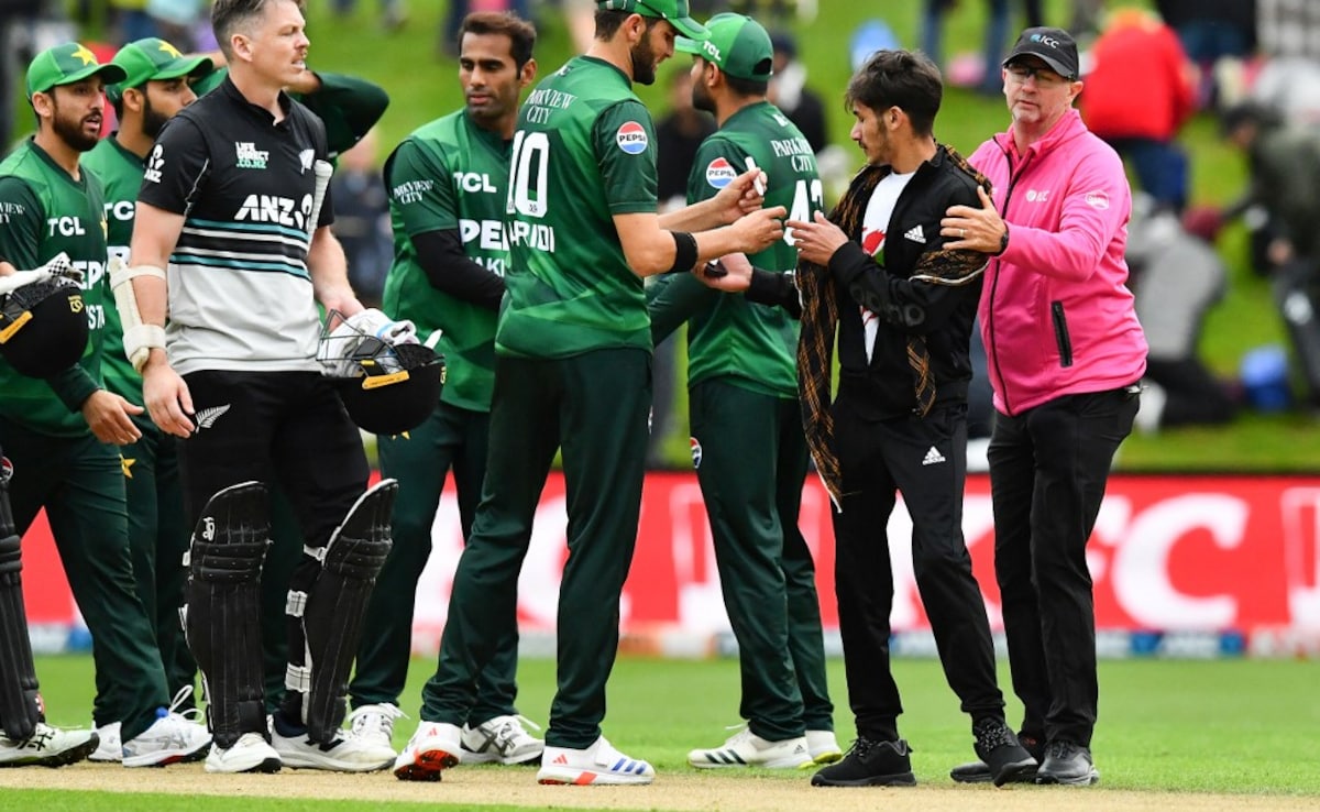 Pakistan Star Loses Cool After New Zealand Defeat: "People Are Waiting To See Us Lose..."