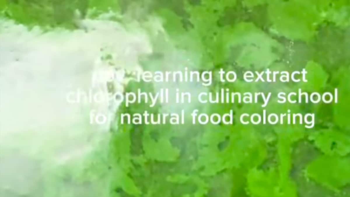 DIY Chlorophyll: This Video On Natural Food Colouring Has Everyones Attention