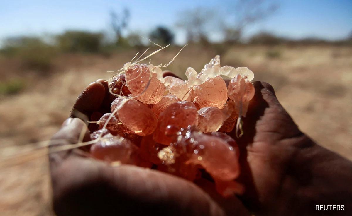 How Key Ingredient Used In Coca-Cola, M&M’s Are Being Trafficked From War-Torn Sudan