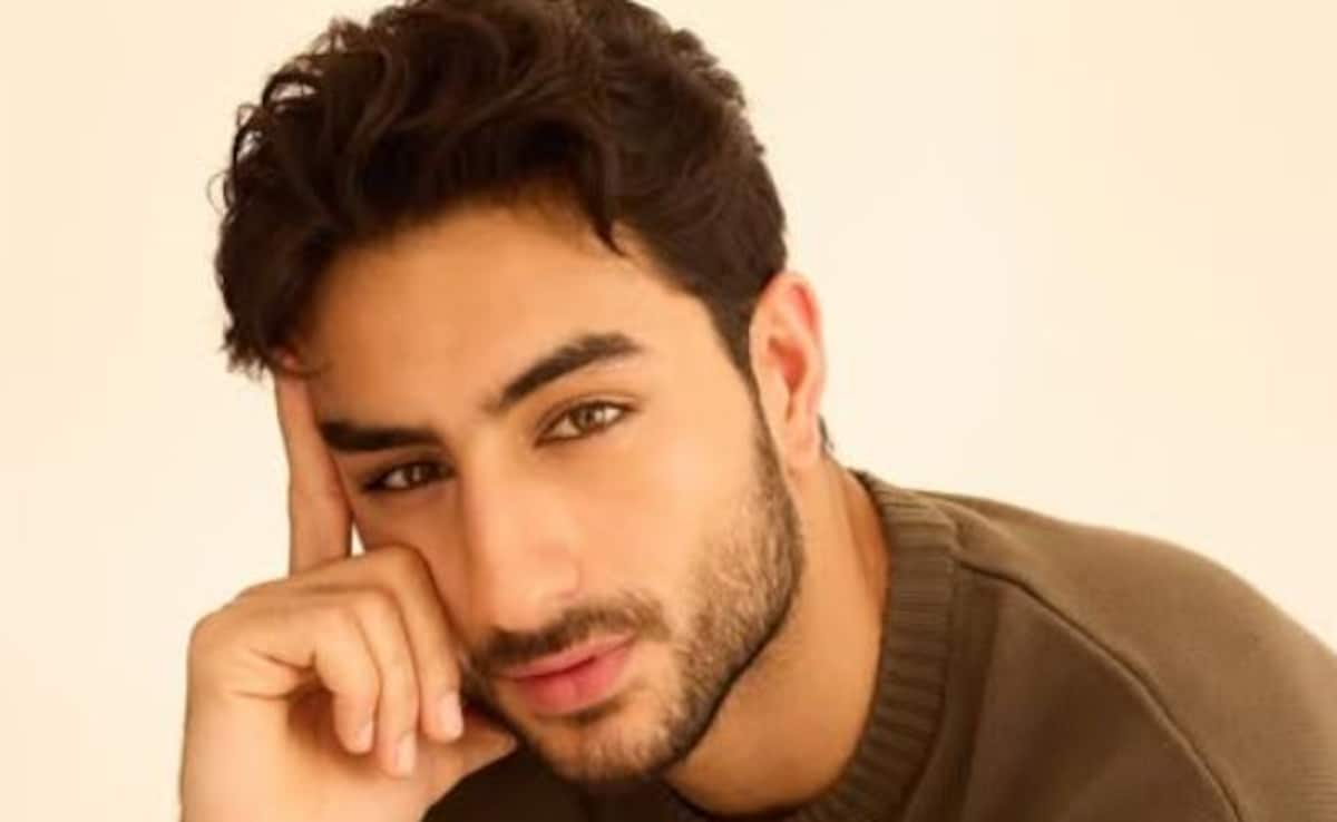 Ibrahim Ali Khan Turns 24: From A Child Artiste To His Grand Debut