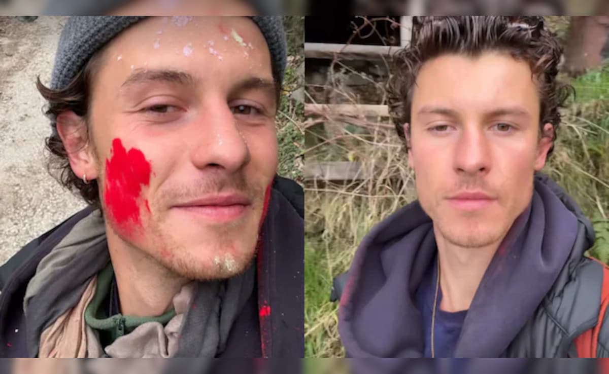 Inside Shawn Mendes' Holi Celebrations In The Hills. Watch