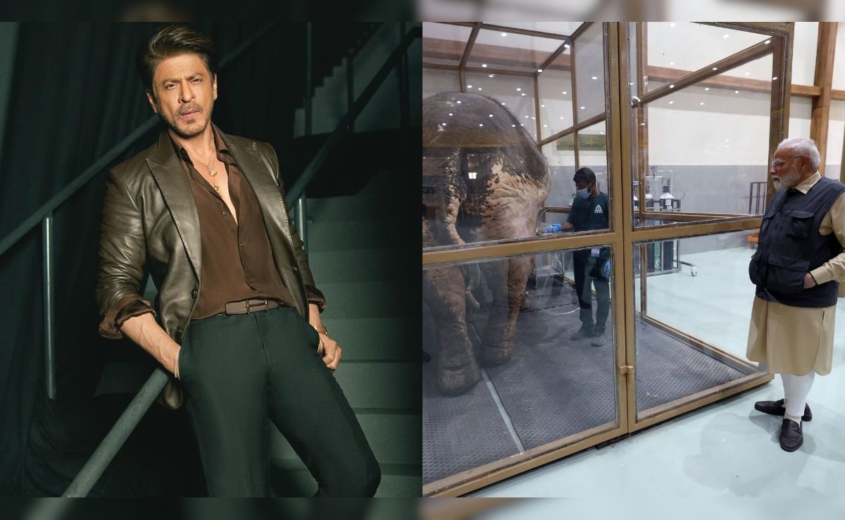 Shah Rukh Khan Celebrates PM Modi’s Visit To Gujarat Wildlife Rescue Centre: “Animals Deserve Love”