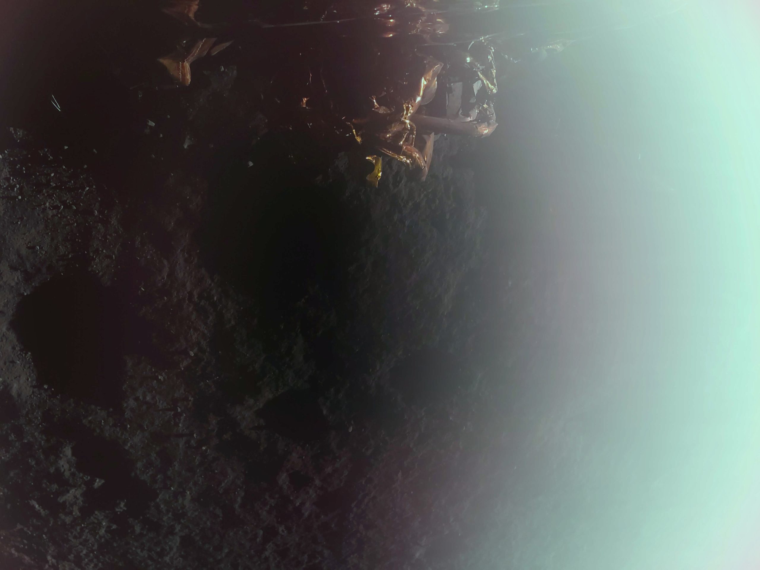 Touchdown! Carrying NASA Science, Firefly’s Blue Ghost Lands on Moon