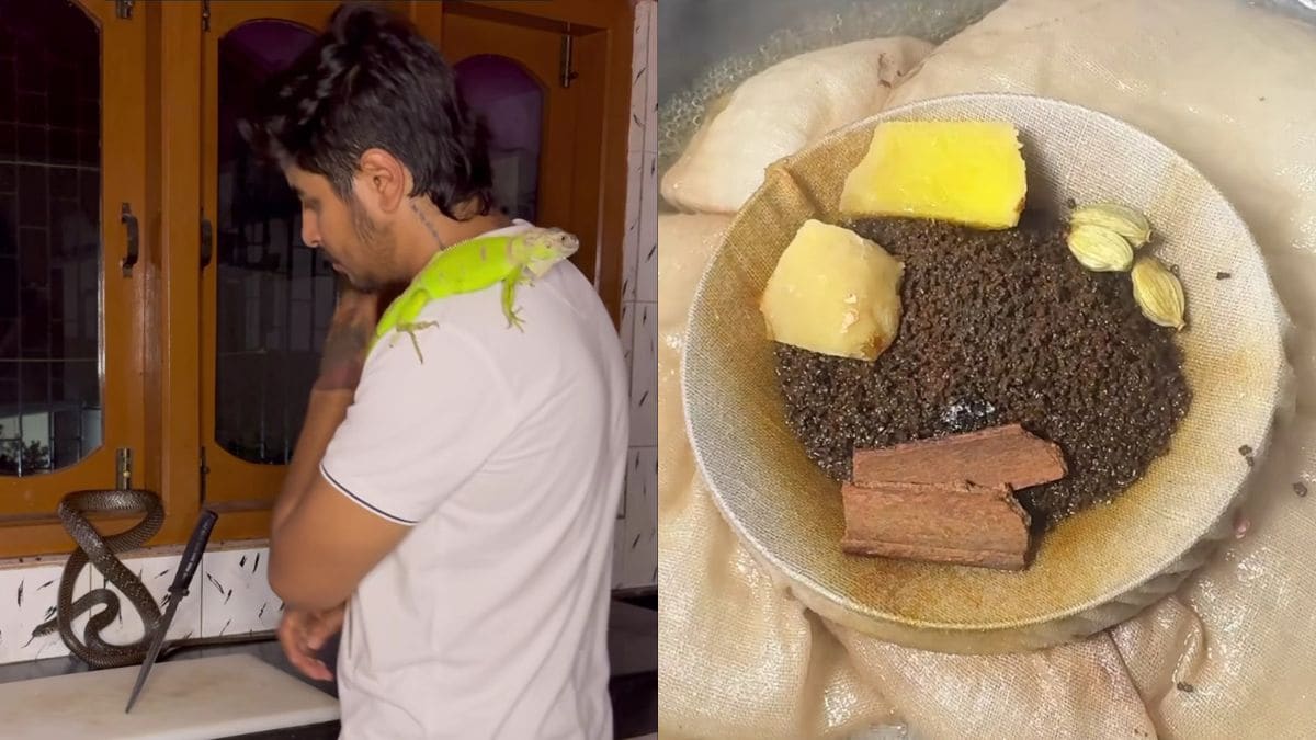 Watch: Viral Chai Making Video Features Special Appearance By Snake And Chameleon