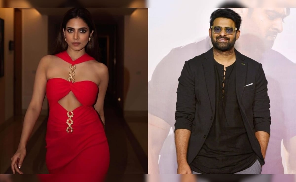 "Working With Prabhas Is A Milestone For Me"