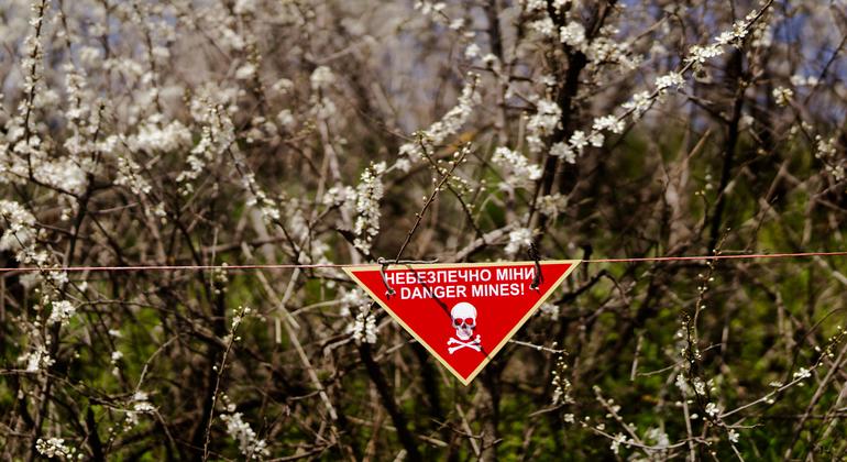 Adhering to bans on mines only in peace time will not work: UN rights chief