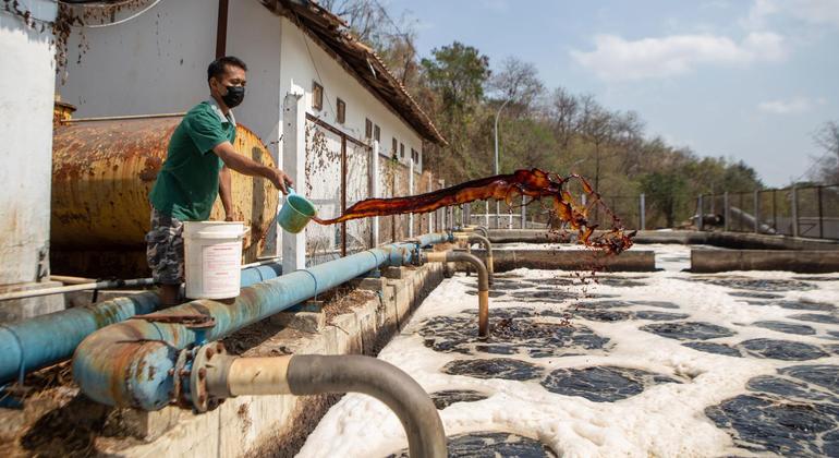 Faith in finance: Indonesia's innovative path to sustainable development