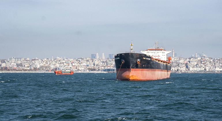 UN welcomes Black Sea talks, warns of worsening humanitarian crisis in Ukraine