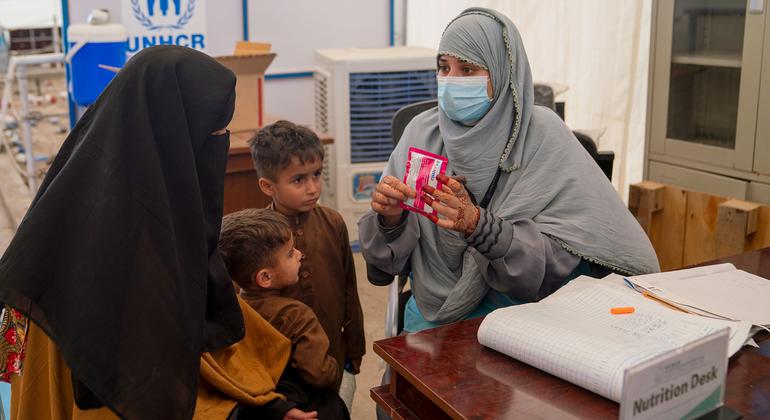 Afghanistan’s returnees at a crossroads between collapse and recovery