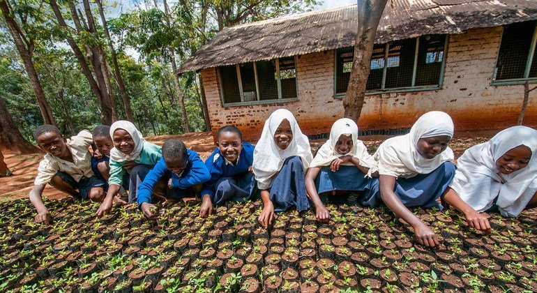 From diamonds to dirt: Sierra Leone youth bring land back to life
