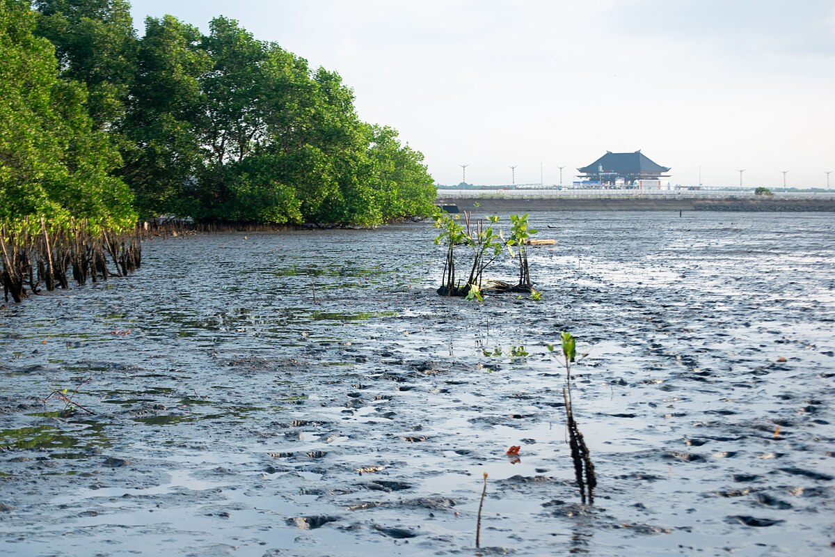 LindungiHutan Calls for Urban Reforestation Amid Worsening Air Pollution on World Lung Cancer Day