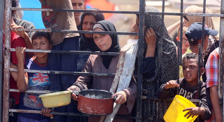 Gaza: Nearly 1,400 Palestinians killed while seeking food, as UN warns airdrops are no solution