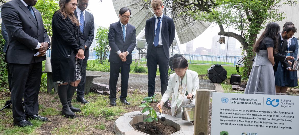 Izumi Nakamitsu, UN High Representative for Disarmament Affairs (in white), during the tree planting ceremony at Headquarters to commemorate the 80th Anniversary of the founding of the United Nations and the atomic bombings in Hiroshima and Nagasaki. Izumi Nakamitsu, UN High Representative for Disarmament Affairs (in white), during the tree planting ceremony at Headquarters to commemorate the 80th Anniversary of the founding of the United Nations and the atomic bombings in Hiroshima and Nagasaki.