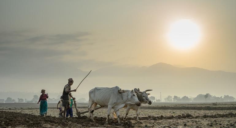 Landlocked nations ‘invisible to much of the world’: UN trade and development chief