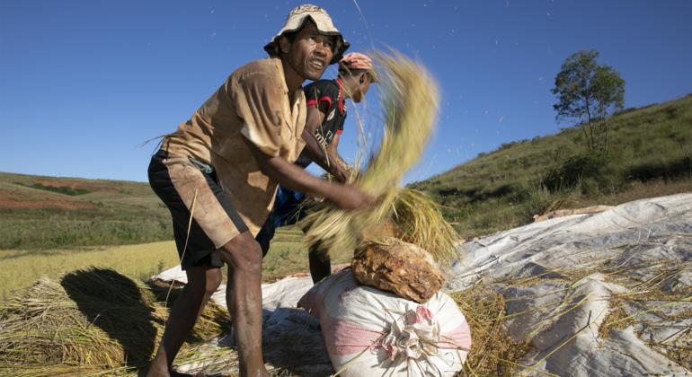 UN agencies warn of rising heat stress risks for workers worldwide