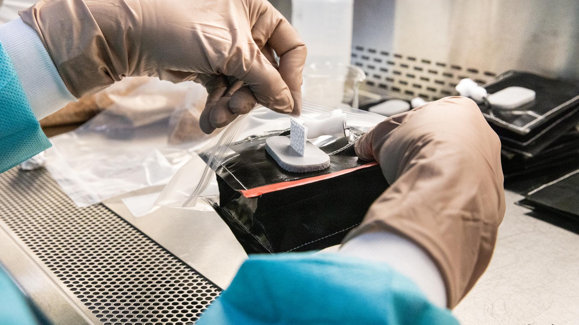 NASA’s VEG-03 Experiment Grows Fresh Food for Future Missions