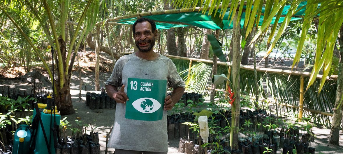 Local conservationist Alfred Masul is replanting mangrove trees in Papua New Guinea to build resilience against climate change. Local conservationist Alfred Masul is replanting mangrove trees in Papua New Guinea to build resilience against climate change.