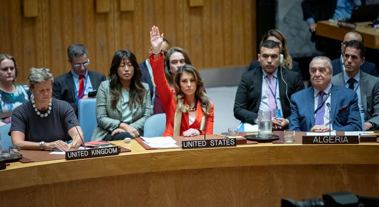 Security Council: US votes against resolution on Gaza ceasefire