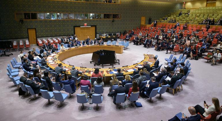 SECURITY COUNCIL LIVE: Ambassadors look for diplomatic way forward in Gaza and Ukraine