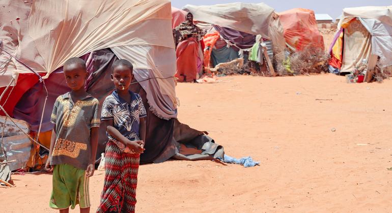 Fewer than one in 10 Somalis to receive life-saving aid in November, warns WFP