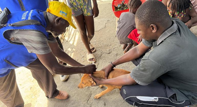 Haiti battles rabies with vaccines and vigilance