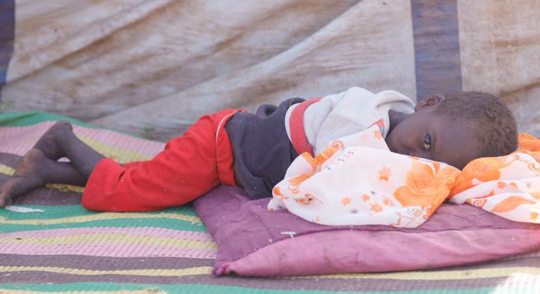 Risk of large-scale atrocities in Sudan’s El Fasher grows ‘by the day’