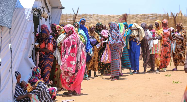Security Council LIVE: Ambassadors meet in emergency session on Sudan
