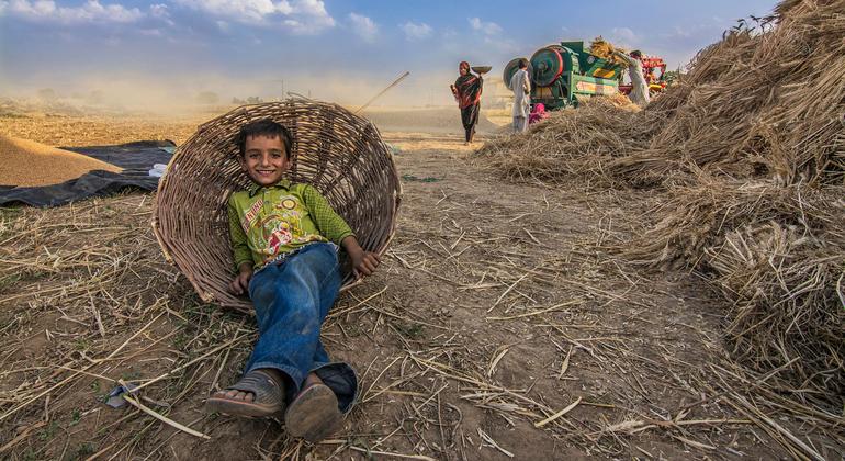 Doha Social Summit: Businesses, civil society walk side by side for fairer futures