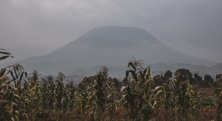 UN hails DR Congo-Rwanda peace deal amid ongoing hostilities in the east